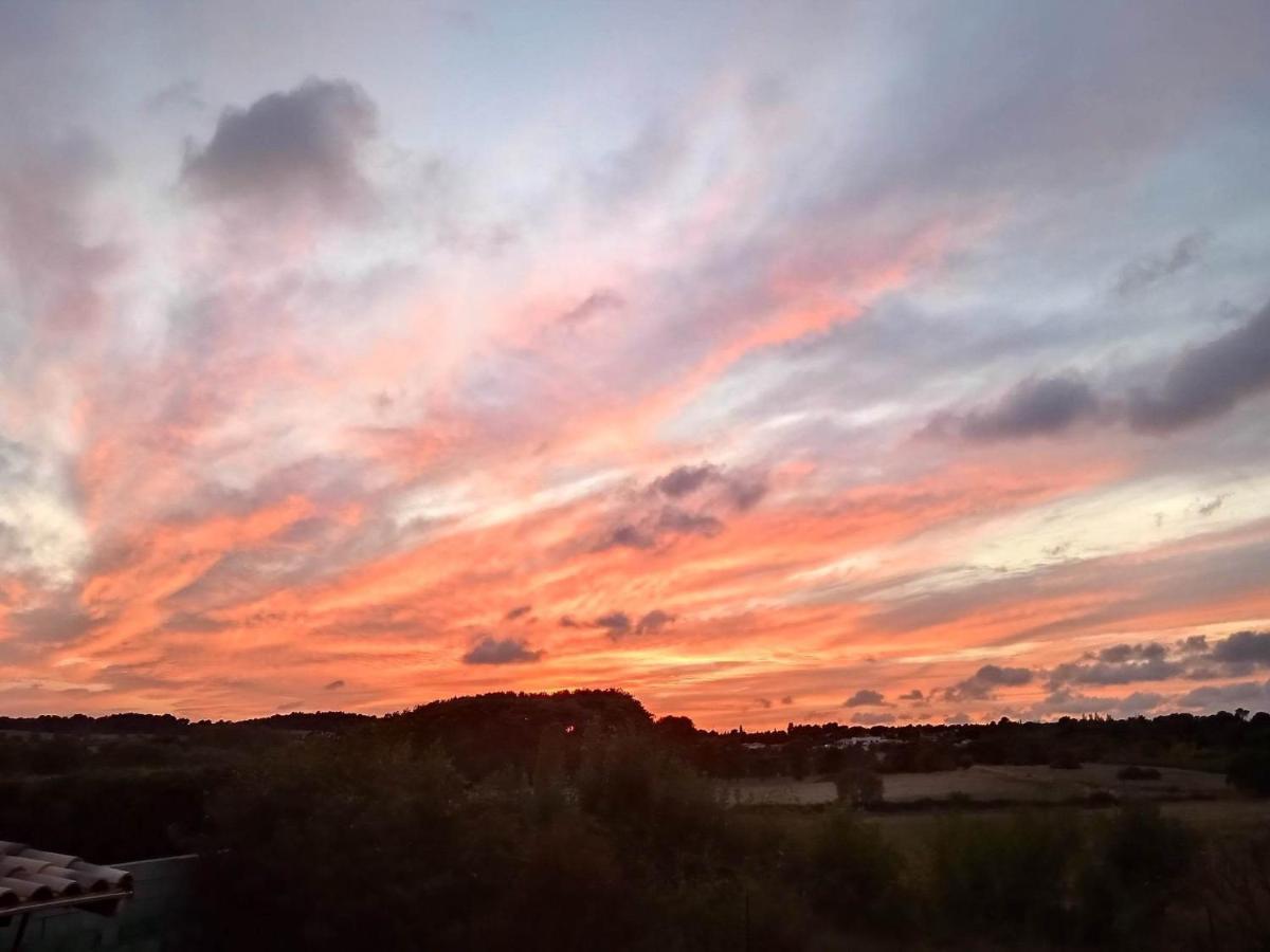 Au Soleil Couchant Villemoustaussou エクステリア 写真