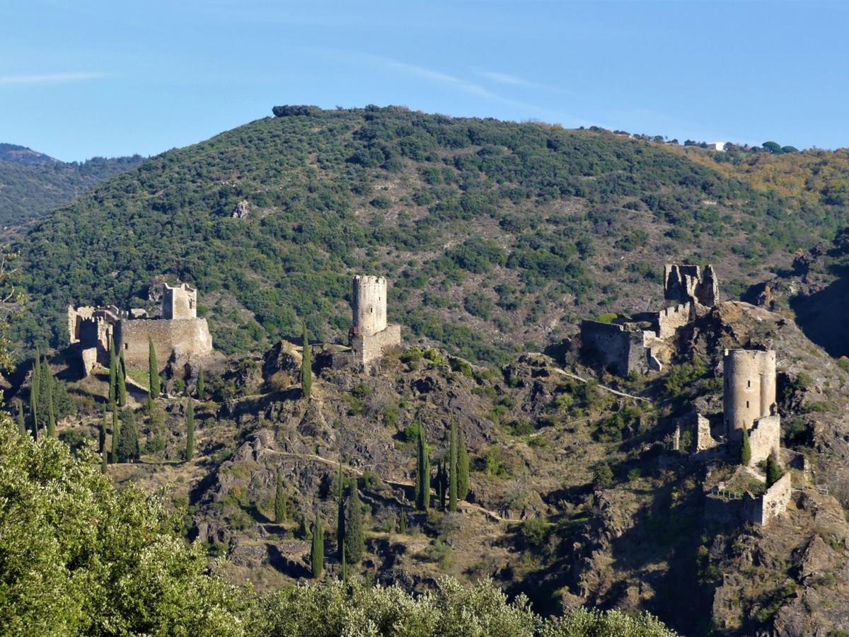 Au Soleil Couchant Villemoustaussou エクステリア 写真
