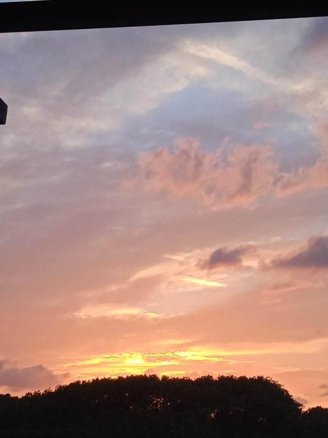 Au Soleil Couchant Villemoustaussou エクステリア 写真